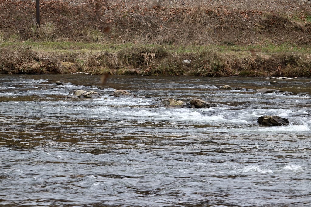 Life is Like A River.  New Year Goals. 