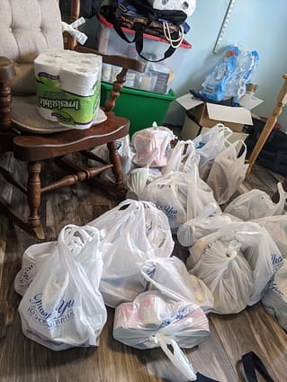 bags from shopping filled with canned and boxed goods for prepping